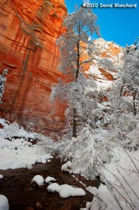 Blue skies, brilliant red sandstone walls, and a fresh cover of snow in West Fork Oak Creek.