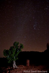 The stars shine down on the red rocks of Sedona, Arizona.