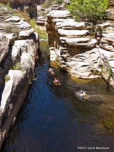 Another set of narrows and deep water in Wet Beaver Creek requiring a swim. But the water is warm and the day is hot -- so no complaints!