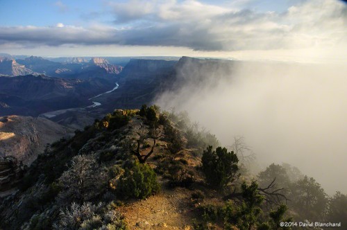 Fog in the Grand Canyon.