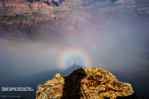 A Glory and Brocken Spectre in the depths of the Grand Canyon.