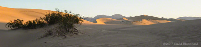 Mesquite Sand Dunes.