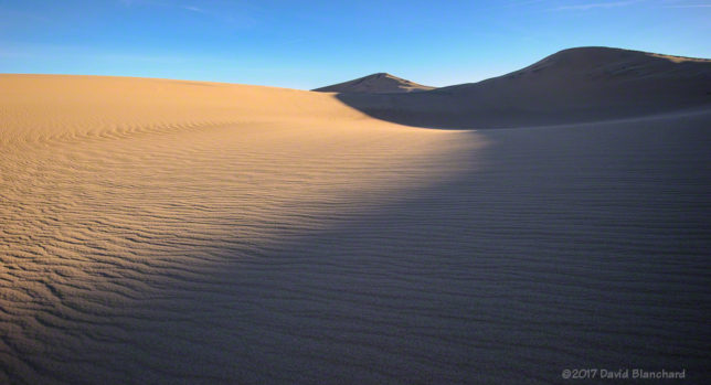 Sunlight and shadow draped across the Mesquite Sand Dunes.
