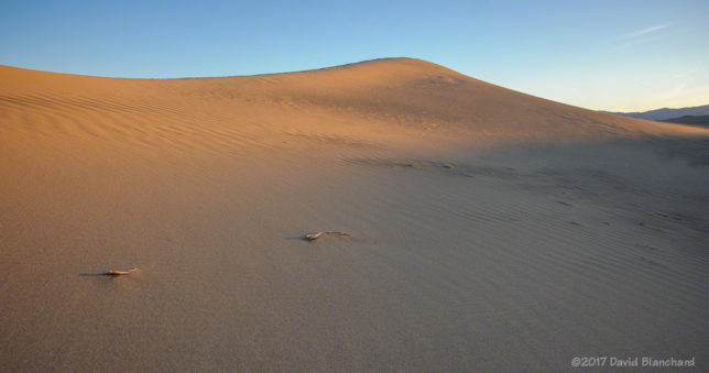 Mesquite Sand Dunes at sunrise.