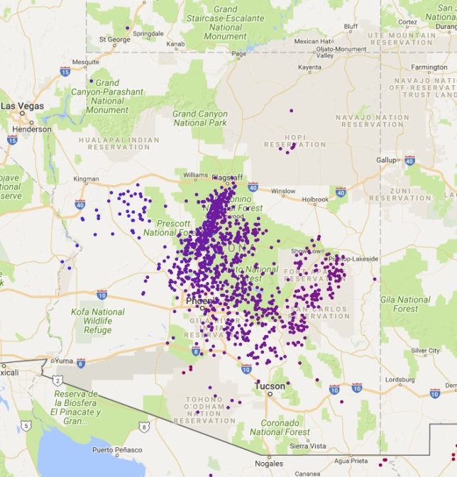 Location of lightning strikes as the cold front advanced across Arizona.