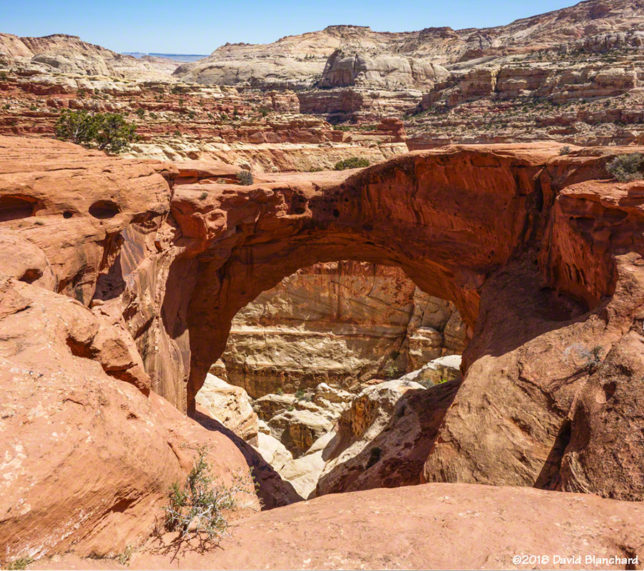 Cassidy Arch, Capitol Reef National Park.