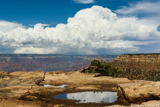 A strong thunderstorm over the North Rim of Grand Canyon is reflected in a small pool of water.