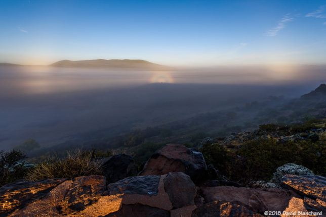 Fog with a Glory, Brocken spectre, and two segments of a fogbow.
