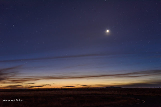 Venus and Spica in the morning twilight.