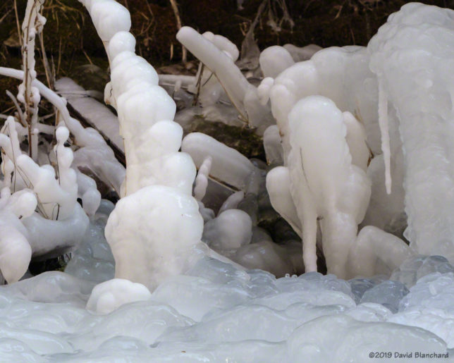 Natural ice sculptures in West Fork Oak Creek.