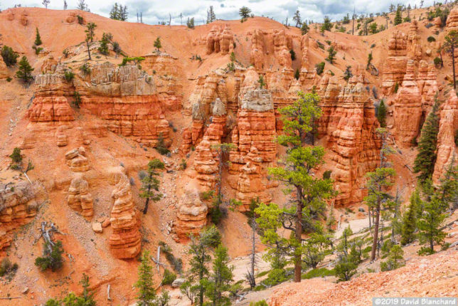 Amazing scenery and hoodoos along the Thunder Mountain Trail.