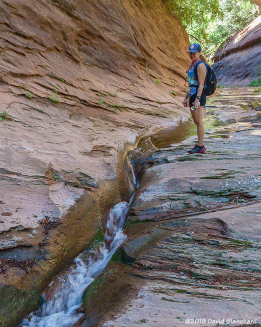 Water is channeled into this narrow and shallow slot in the canyon.