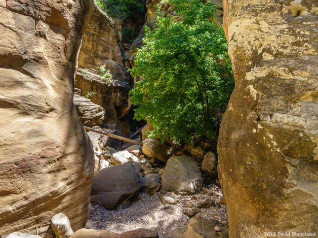 The first narrows are encounted just upcanyon of the confluence with Casner Cabin Draw.