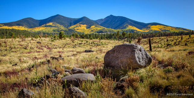 North side of the San Francisco Peaks from FR 418. 10/08/2019.