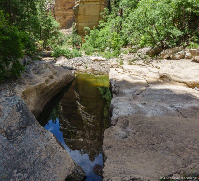 Canyon walls are reflected in a pool in Pumphouse Wash.