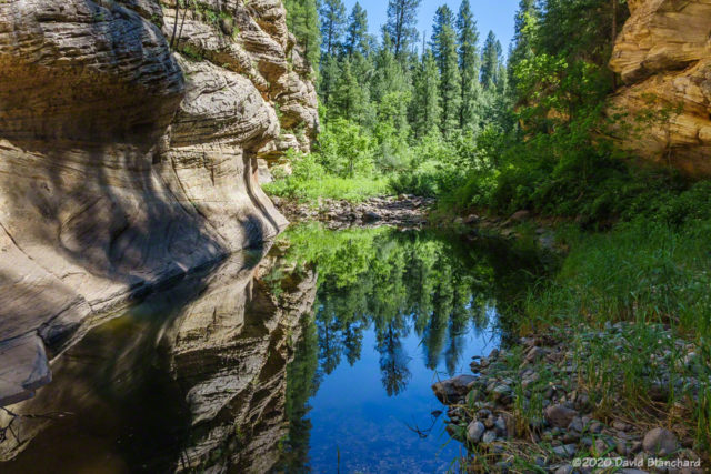 Clear, blue skies are reflected in the waters of a pool in the canyon.