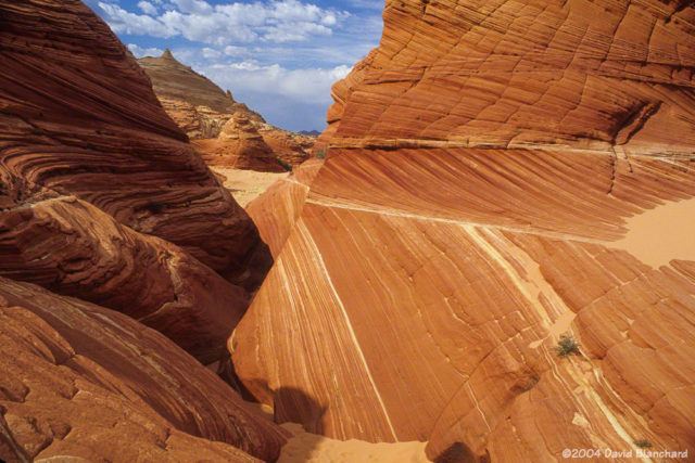 Textured landforms at Coyote Buttes.