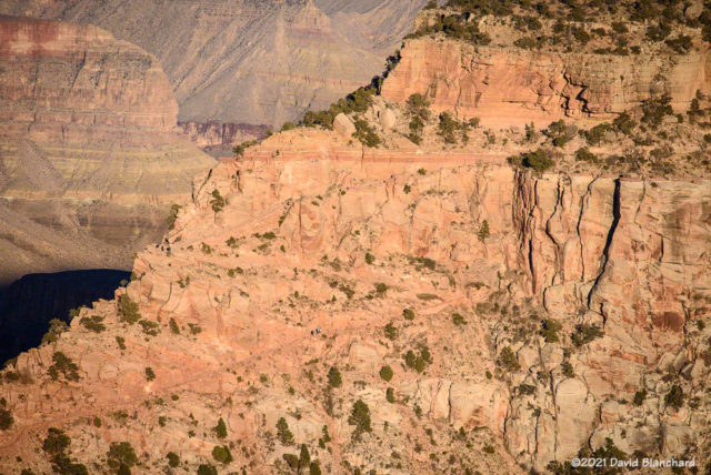 Several groups of hikers ascending the South Kaibab Trail in Grand Canyon.