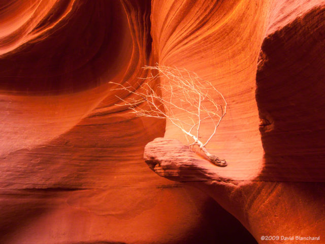 Lower Antelope Canyon (2009, Panasonic Lumix FZ18).