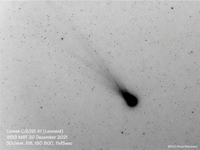 Comet C/2021 A1 (Leonard) at 1833 MST 20 December 2021. Image has been inverted to help show the fine structore of the tail.