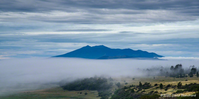 Morning fog with the San Francisco Peaks in the distance.