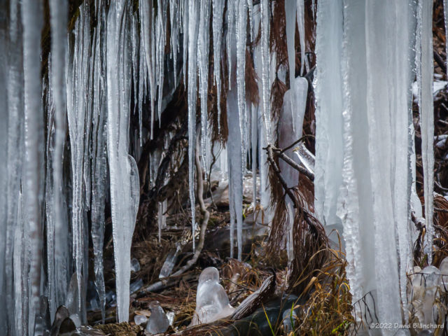 There is an overhanging wall that drips water constantly and produces amazing icicles and ice sculptures.