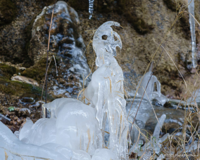 A natural ice scupture from dripping water. What does it look like to you?