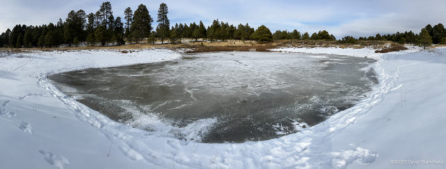 Panorama of the detention pond next to the Sheep Crossing FUTS trail.