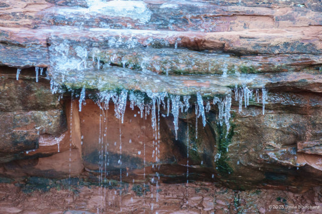 One of the many icy flows along the Templeton Trail in Sedona.