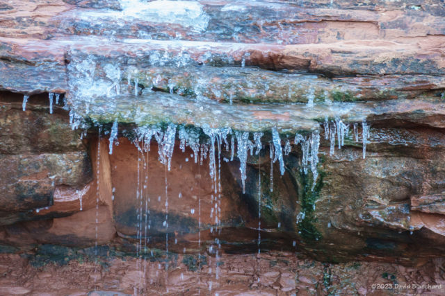 One of many frozen streams along the Templeton Trail in Sedona.