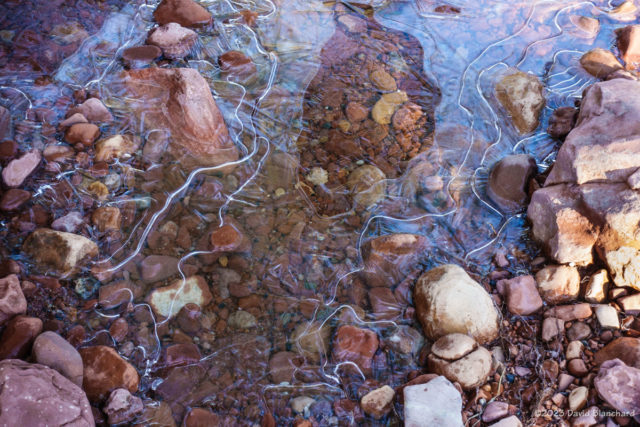 Delicate ice structures in the stream alongside the Easy Breezy Trail in Sedona.