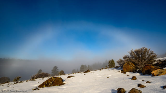 A fogbow along Upper Lake Mary.