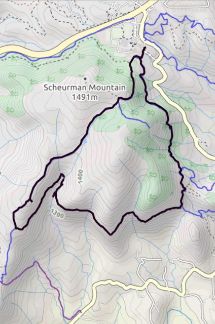 GPS track of the Scheurman Mtn trail run.