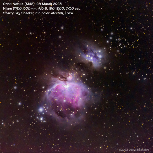 Orion Nebula (M42).