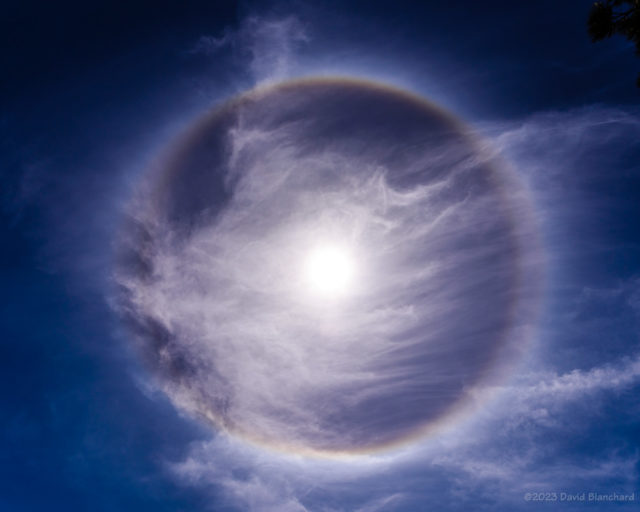 Oval Circumscribed Halo and 22° Halo.