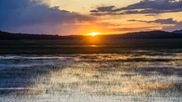 Sunset over Rogers lake from the northern viewing area. Wetland grasses are already growing tall in the shallow waters of the lake.