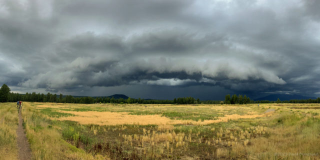 Another view of the approaching shelf cloud.
