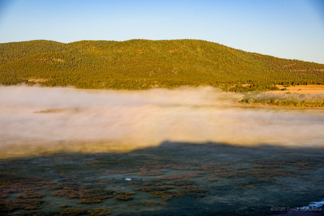 Fog in the Mormon Lake basin with a colorful but diffuse glory.
