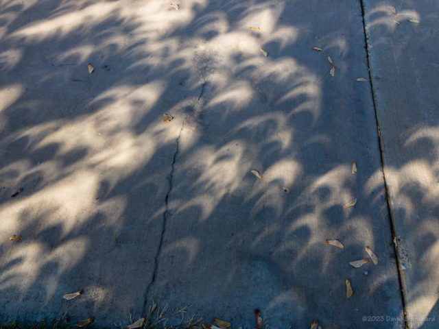 Crescent-shaped light and shadow during the partial phase of the eclipse.