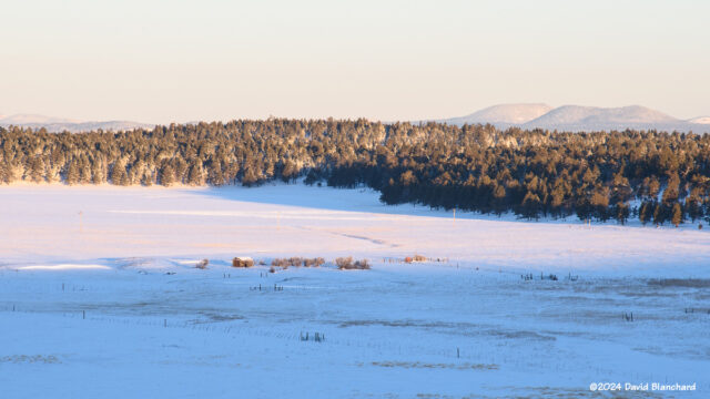 First light on some old ranching structures near Mormon Lake (08 Jan 2024).