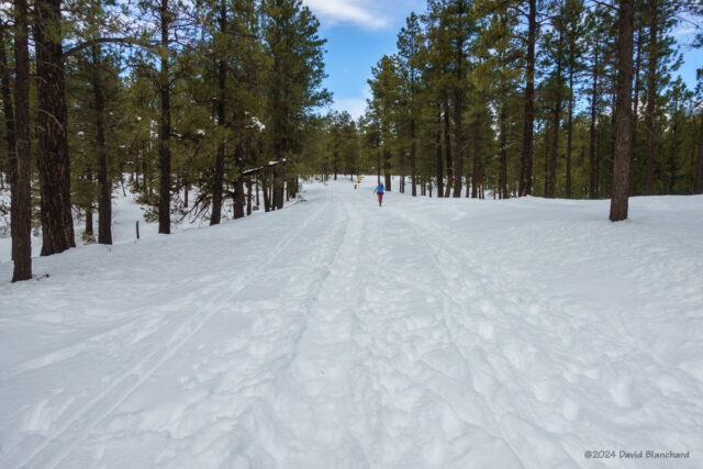 Snowy run on Schultz Pass Road (02/15/2024).